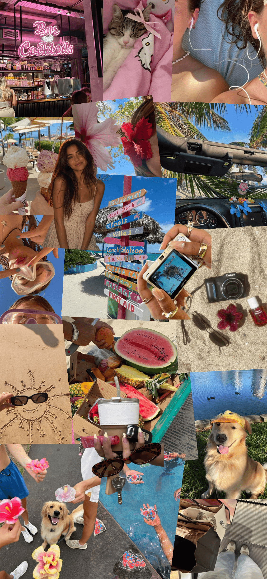 Tropical travel collage